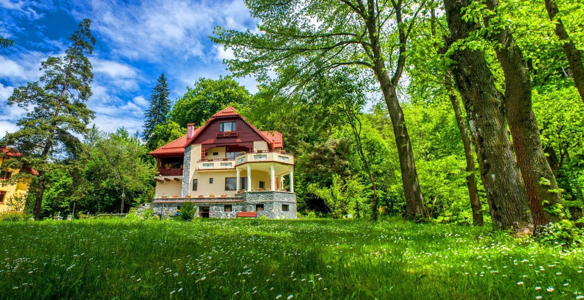 Pensiunea Boema Sinaia Exterior foto