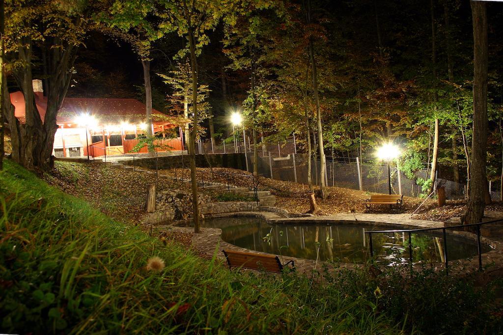 Pensiunea Boema Sinaia Exterior foto